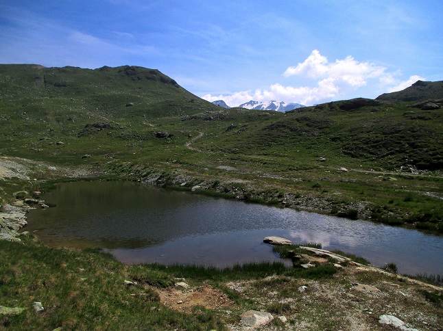 Foto: Andreas Koller / Wandertour / Panoramatour auf den Piz Lagalb (2959m) / 05.09.2015 18:08:57