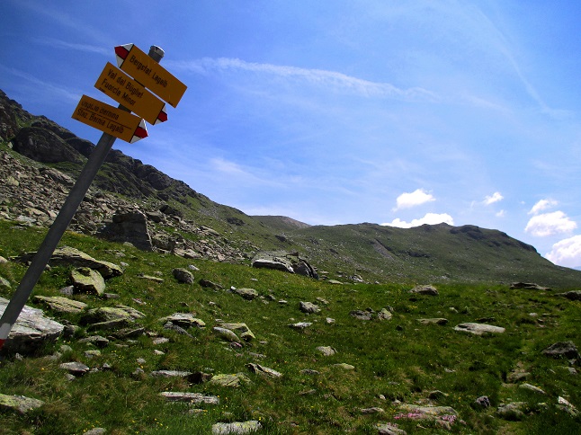Foto: Andreas Koller / Wandertour / Panoramatour auf den Piz Lagalb (2959m) / 05.09.2015 18:07:54