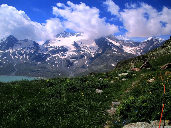 Foto: Andreas Koller / Wandertour / Panoramatour auf den Piz Lagalb (2959m) / 05.09.2015 18:07:32