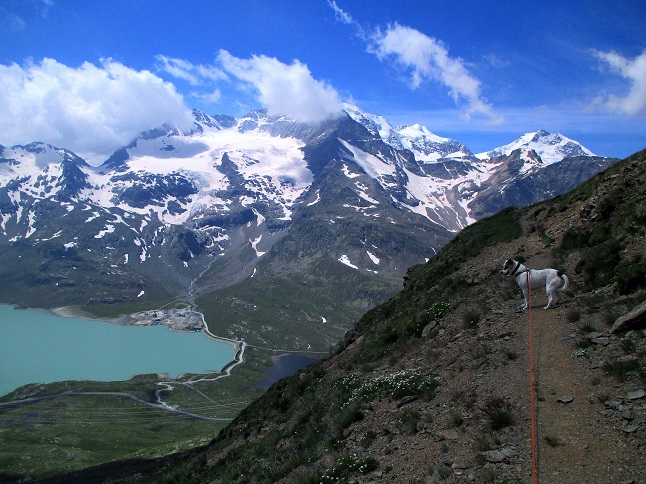 Foto: Andreas Koller / Wandertour / Panoramatour auf den Piz Lagalb (2959m) / 05.09.2015 18:05:52
