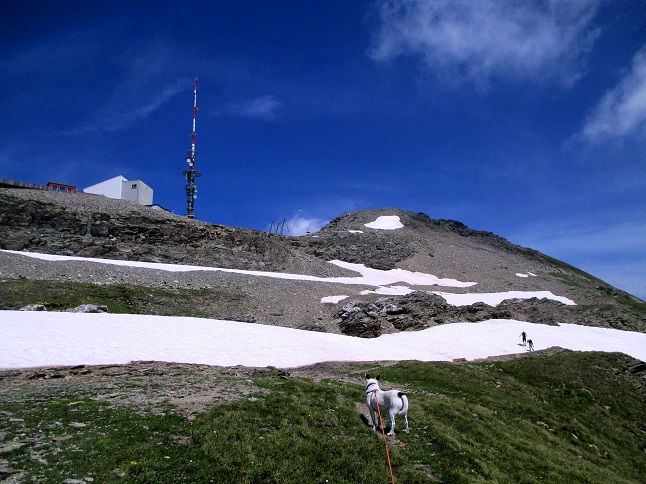 Foto: Andreas Koller / Wandertour / Panoramatour auf den Piz Lagalb (2959m) / Rechts der Gipfel des Piz Lagalb / 05.09.2015 18:04:58