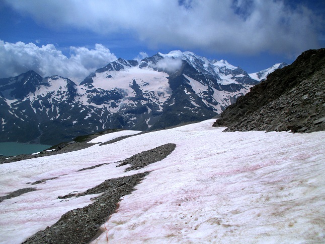 Foto: Andreas Koller / Wandertour / Panoramatour auf den Piz Lagalb (2959m) / 05.09.2015 18:04:15