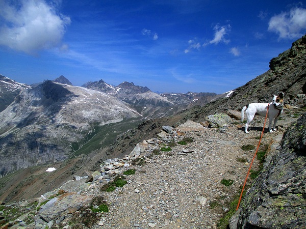 Foto: Andreas Koller / Wandertour / Panoramatour auf den Piz Lagalb (2959m) / 05.09.2015 18:03:52