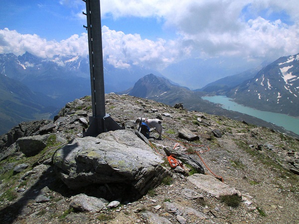 Foto: Andreas Koller / Wandertour / Panoramatour auf den Piz Lagalb (2959m) / 05.09.2015 18:03:17