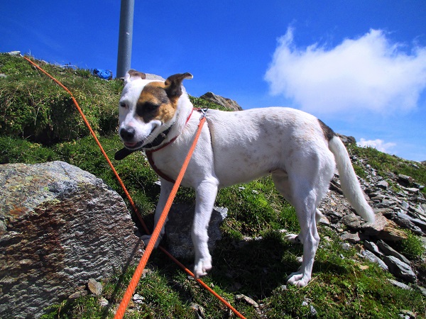 Foto: Andreas Koller / Wandertour / Panoramatour auf den Piz Lagalb (2959m) / 05.09.2015 18:01:51