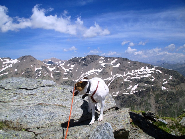Foto: Andreas Koller / Wandertour / Panoramatour auf den Piz Lagalb (2959m) / Am Gipfel des Piz Lagalb / 05.09.2015 18:00:59