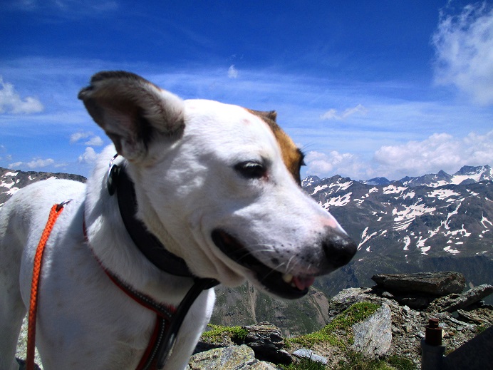 Foto: Andreas Koller / Wandertour / Panoramatour auf den Piz Lagalb (2959m) / 05.09.2015 18:00:26