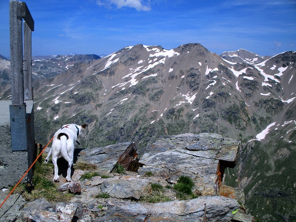 Foto: Andreas Koller / Wandertour / Panoramatour auf den Piz Lagalb (2959m) / 05.09.2015 17:58:20