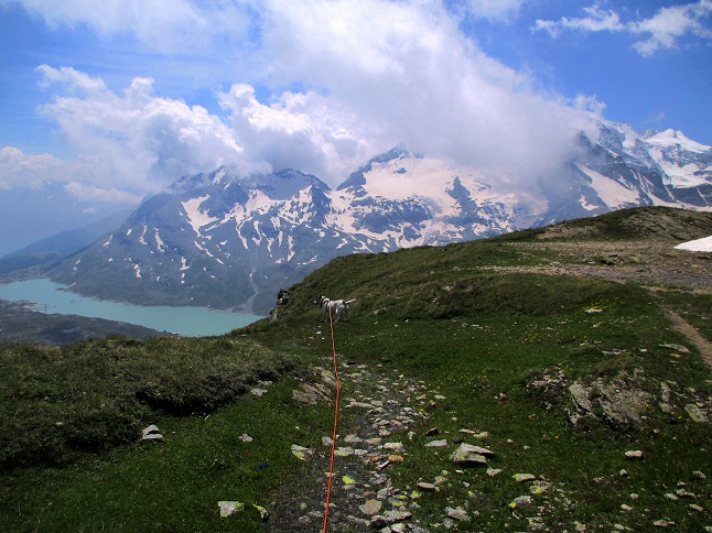 Foto: Andreas Koller / Wandertour / Panoramatour auf den Piz Lagalb (2959m) / 05.09.2015 17:56:43