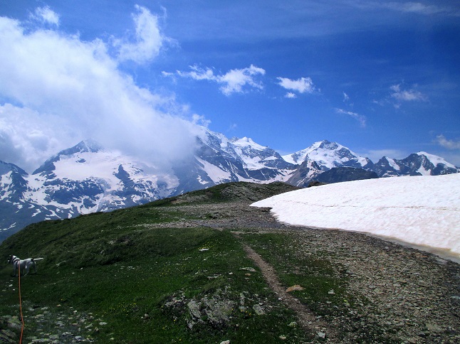 Foto: Andreas Koller / Wandertour / Panoramatour auf den Piz Lagalb (2959m) / Abstieg vom Piz Lagalb / 05.09.2015 17:56:34
