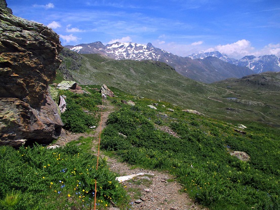 Foto: Andreas Koller / Wandertour / Panoramatour auf den Piz Lagalb (2959m) / 05.09.2015 17:55:37