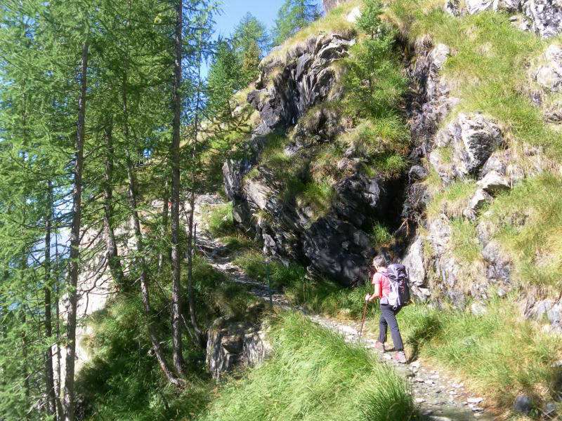 Foto: Wolfgang Lauschensky / Wandertour / Monte delle Forbici 2910m / Anstieg vom Campo Moro / 20.09.2015 13:18:34