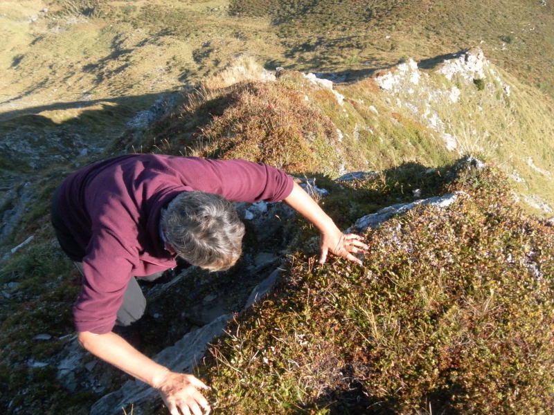 Foto: Wolfgang Lauschensky / Wandertour / Muttner Horn 2401m und Muttner Höhi 2000m / oberer felsiger Nordgrat / 23.09.2015 20:27:49