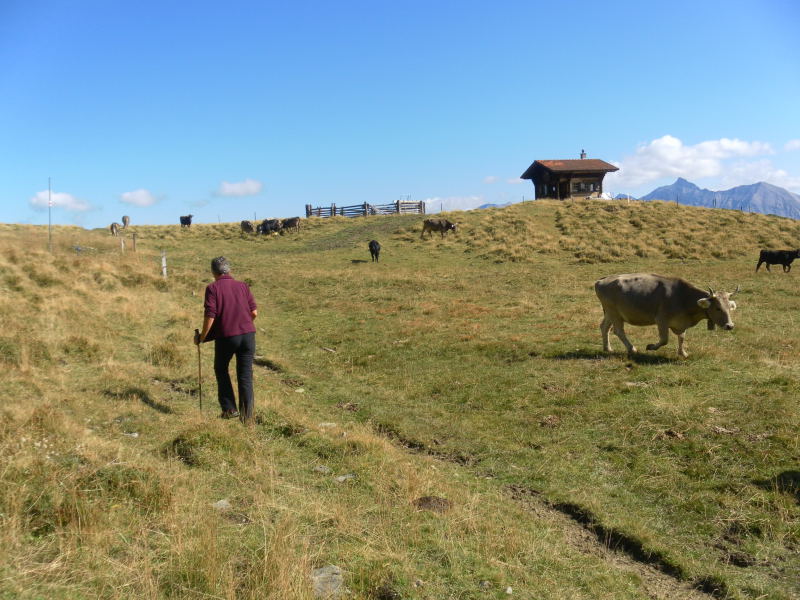 Foto: Wolfgang Lauschensky / Wandertour / Muttner Horn 2401m und Muttner Höhi 2000m / Almhütte / 23.09.2015 20:26:17