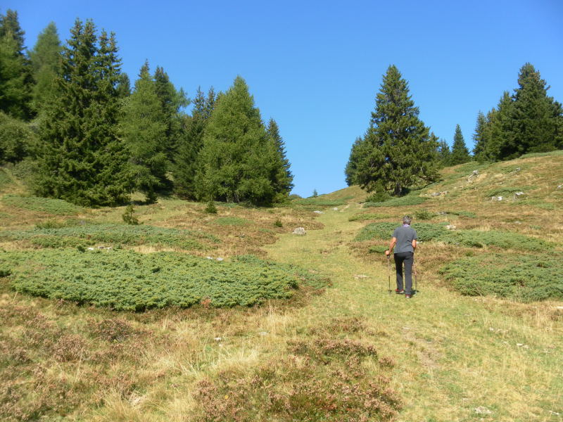 Foto: Wolfgang Lauschensky / Wandertour / Muttner Horn 2401m und Muttner Höhi 2000m / Wanderweg zur Muttner Höhi / 23.09.2015 20:25:19