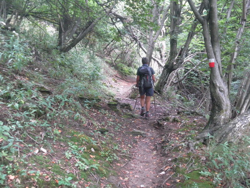 Foto: Wolfgang Lauschensky / Wandertour / Monte Palanzone 1436m von der Colma di Sormano / Rückweg in der Ostflanke / 25.09.2015 17:43:37