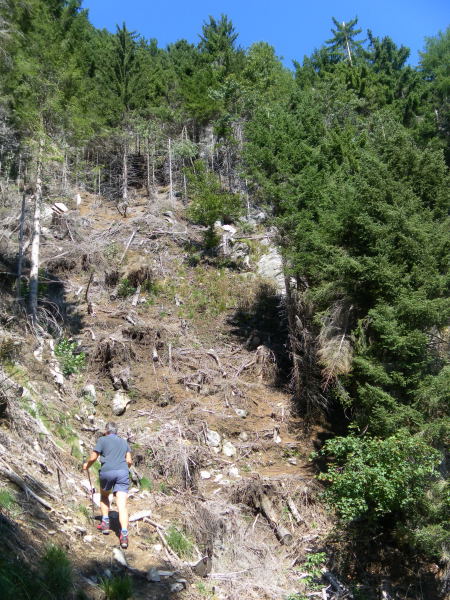 Foto: Wolfgang Lauschensky / Wandertour / Sassariente 1768m Runde von Monti della Motta / steile Schneise / 29.09.2015 23:54:44