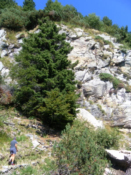 Foto: Wolfgang Lauschensky / Wandertour / Sassariente 1768m Runde von Monti della Motta / Kammnähe / 29.09.2015 23:54:31