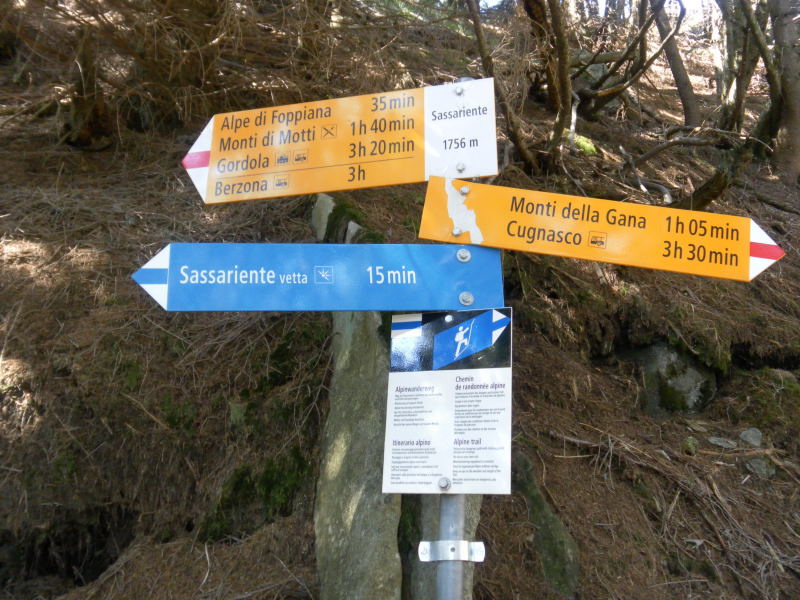 Foto: Wolfgang Lauschensky / Wandertour / Sassariente 1768m Runde von Monti della Motta / Wegverzweigung nördlich des Gipfels / 29.09.2015 23:52:47