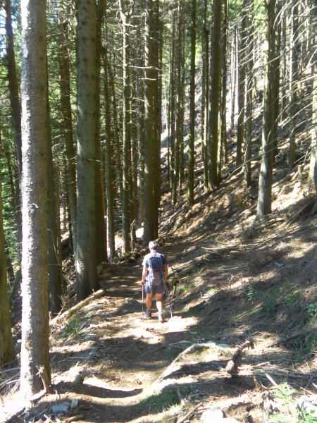 Foto: Wolfgang Lauschensky / Wandertour / Sassariente 1768m Runde von Monti della Motta / einfacher Waldabstieg / 29.09.2015 23:52:23