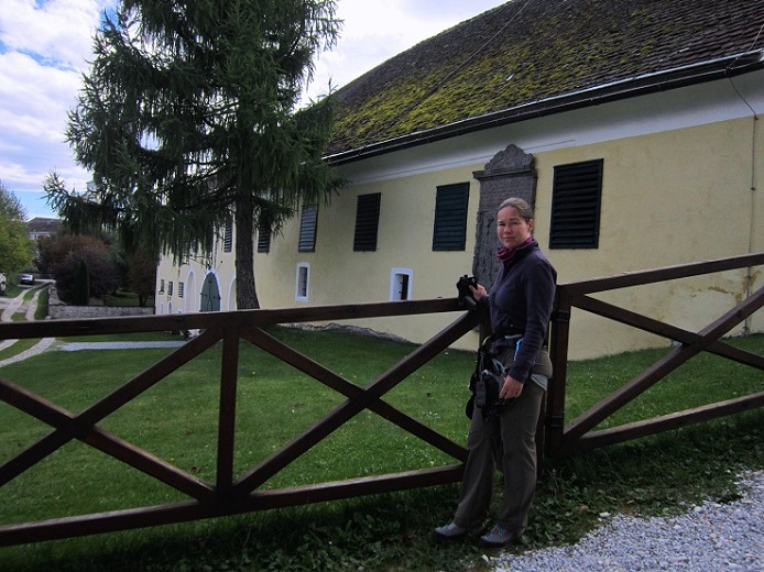 Foto: Andreas Koller / Klettersteigtour / Burgfels Klettersteig Strechau (835m) / 07.10.2015 01:21:36