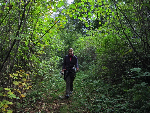Foto: Andreas Koller / Klettersteigtour / Burgfels Klettersteig Strechau (835m) / Abstieg von der Burg Strechau / 07.10.2015 01:20:54