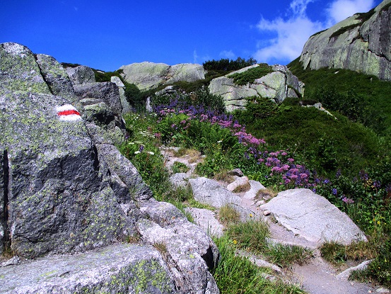 Foto: Andreas Koller / Klettersteigtour / Bergsee-Klettersteig Krokodil (2527m) / 18.10.2015 04:07:58