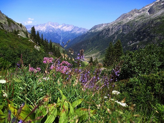 Foto: Andreas Koller / Klettersteigtour / Bergsee-Klettersteig Krokodil (2527m) / 18.10.2015 03:52:08