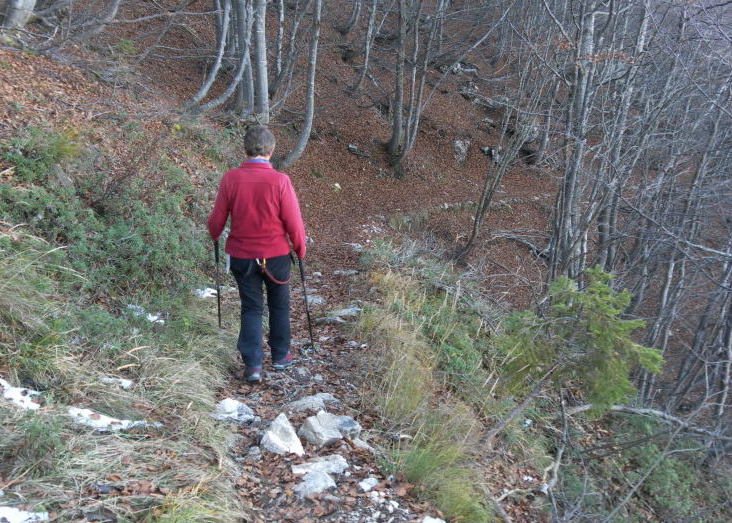 Foto: Wolfgang Lauschensky / Klettersteigtour / Monte Cornetto 1899m über Vajo Stretto / gemütlicher Abstieg im Laubwald / 01.11.2015 19:16:30