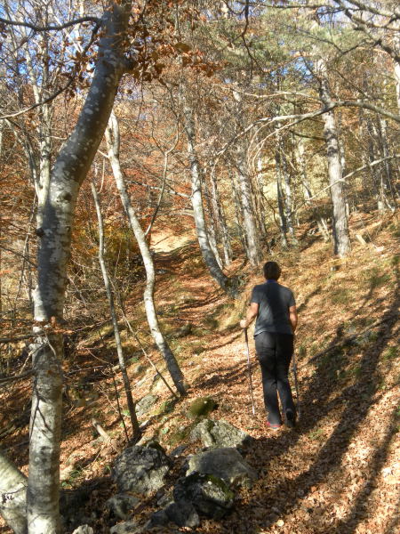 Foto: Wolfgang Lauschensky / Klettersteigtour / Corno Battisti 1778m über Sentiero attrezzato Franco Galli / Laubwald / 03.11.2015 18:55:49