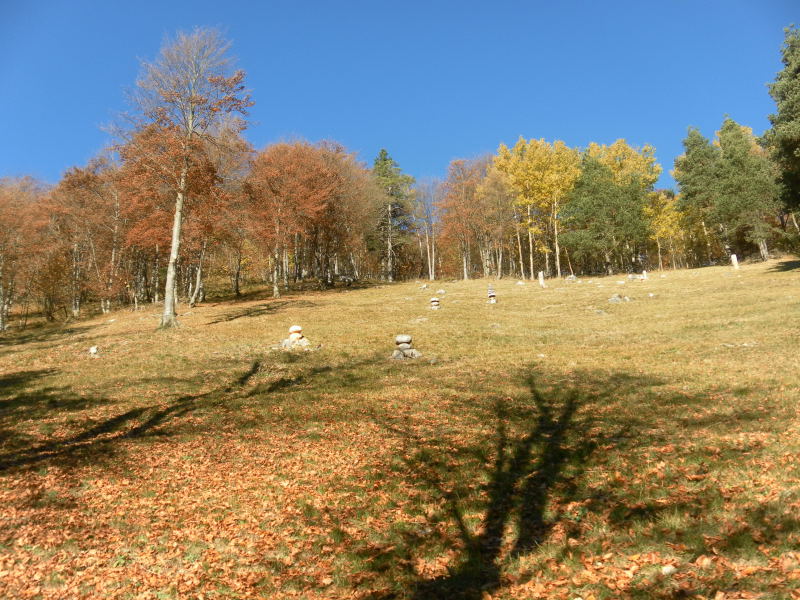 Foto: Wolfgang Lauschensky / Klettersteigtour / Corno Battisti 1778m über Sentiero attrezzato Franco Galli / schöne Almflächen vor dem SW-Rücken / 03.11.2015 18:55:33