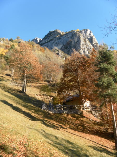 Foto: Wolfgang Lauschensky / Klettersteigtour / Corno Battisti 1778m über Sentiero attrezzato Franco Galli / Alm vor Corno Battisti / 03.11.2015 18:55:17