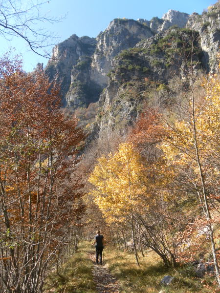 Foto: Wolfgang Lauschensky / Klettersteigtour / Corno Battisti 1778m über Sentiero attrezzato Franco Galli / Corno Battisti aus dem Valle di Foxi / 03.11.2015 18:50:22