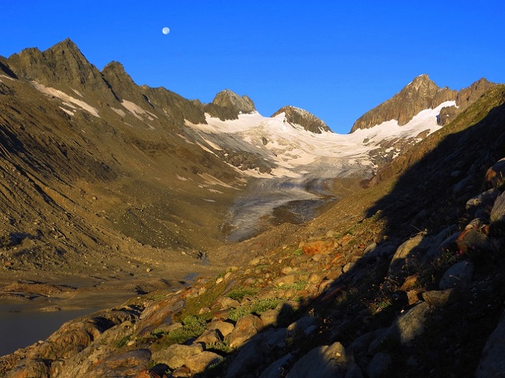 Foto: Andreas Koller / Wandertour / Oberaarhorn (3631m) / 10.11.2015 02:51:10