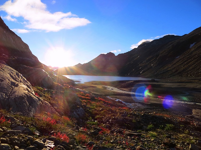 Foto: Andreas Koller / Wandertour / Oberaarhorn (3631m) / 10.11.2015 02:50:56