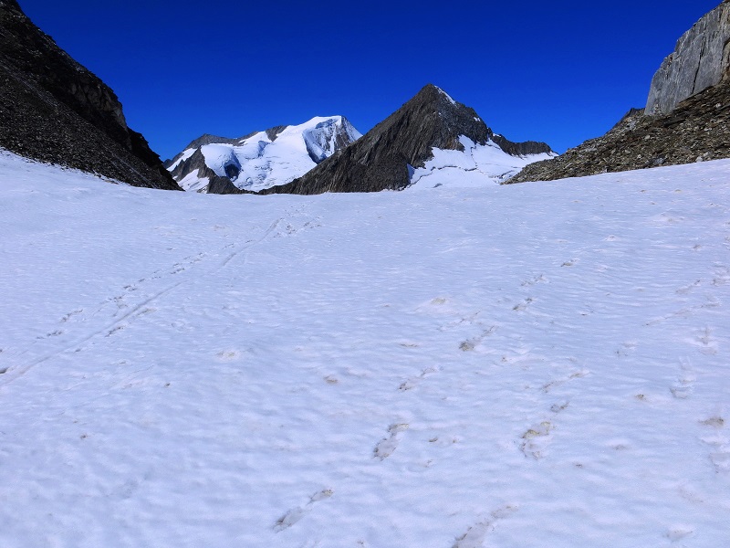 Foto: Andreas Koller / Wandertour / Oberaarhorn (3631m) / Oberaarjoch / 10.11.2015 02:46:13