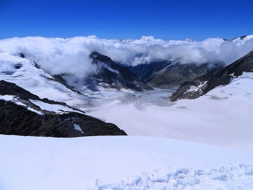 Foto: Andreas Koller / Wandertour / Oberaarhorn (3631m) / 10.11.2015 02:41:30
