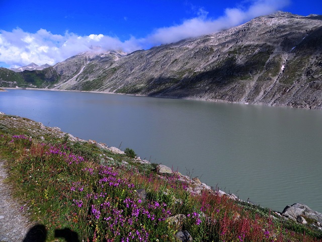 Foto: Andreas Koller / Wandertour / Oberaarhorn (3631m) / Zurück am Oberaarsee / 10.11.2015 02:34:05