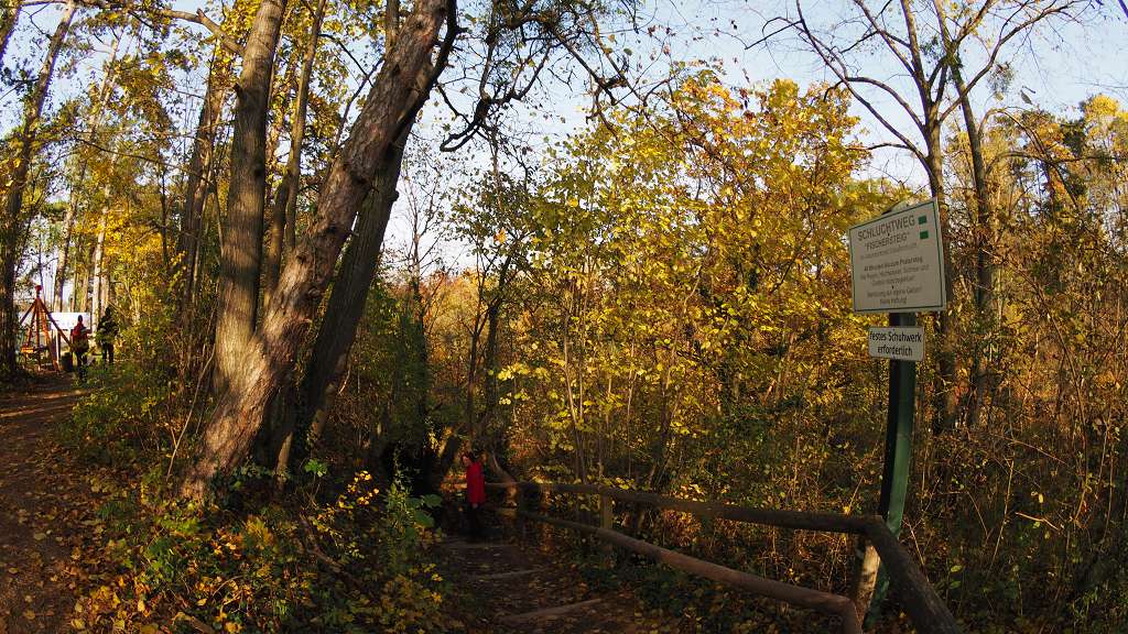 Foto: Datzi / Wandertour / Familienwanderung durch die wildromantische Erlaufschlucht in Purgstall / Hier sehen wir schon den Weg zur Erlauf / 14.11.2015 10:43:41