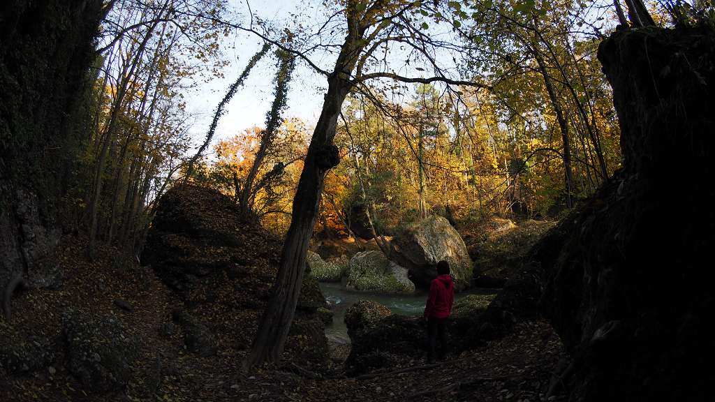 Foto: Datzi / Wandertour / Familienwanderung durch die wildromantische Erlaufschlucht in Purgstall / 14.11.2015 10:43:56