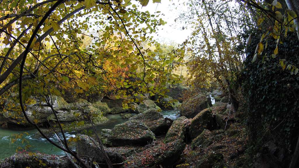 Foto: Datzi / Wandertour / Familienwanderung durch die wildromantische Erlaufschlucht in Purgstall / 14.11.2015 10:44:34