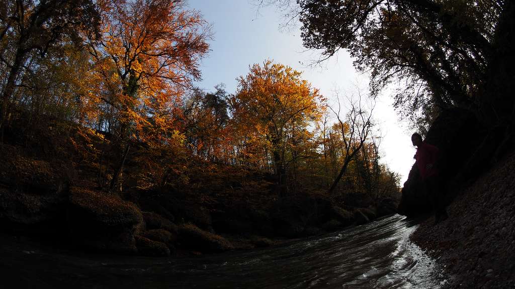 Foto: Datzi / Wandertour / Familienwanderung durch die wildromantische Erlaufschlucht in Purgstall / 14.11.2015 10:45:01