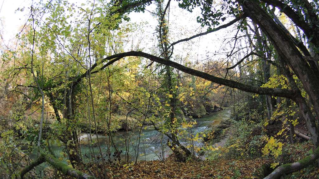 Foto: Datzi / Wandertour / Familienwanderung durch die wildromantische Erlaufschlucht in Purgstall / 14.11.2015 10:47:10
