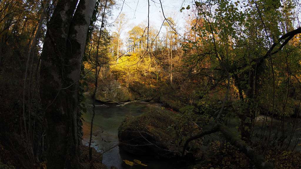 Foto: Datzi / Wandertour / Familienwanderung durch die wildromantische Erlaufschlucht in Purgstall / 14.11.2015 10:47:21