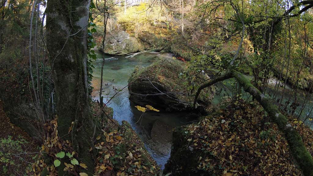 Foto: Datzi / Wandertour / Familienwanderung durch die wildromantische Erlaufschlucht in Purgstall / 14.11.2015 10:47:29