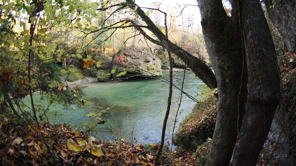 Foto: Datzi / Wandertour / Familienwanderung durch die wildromantische Erlaufschlucht in Purgstall / 14.11.2015 10:47:38