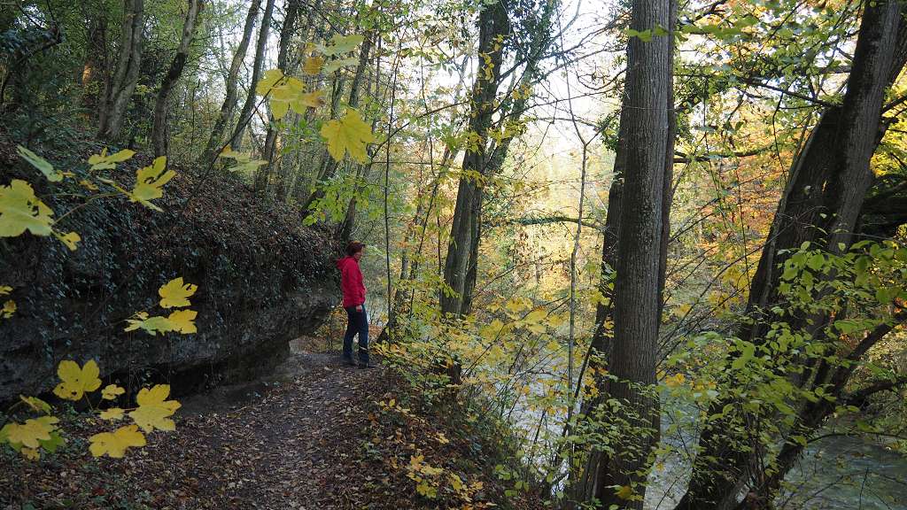 Foto: Datzi / Wandertour / Familienwanderung durch die wildromantische Erlaufschlucht in Purgstall / 14.11.2015 10:47:54