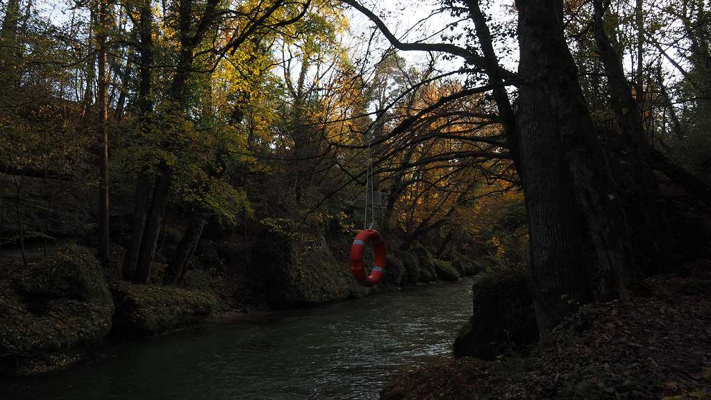 Foto: Datzi / Wandertour / Familienwanderung durch die wildromantische Erlaufschlucht in Purgstall / 14.11.2015 10:48:21