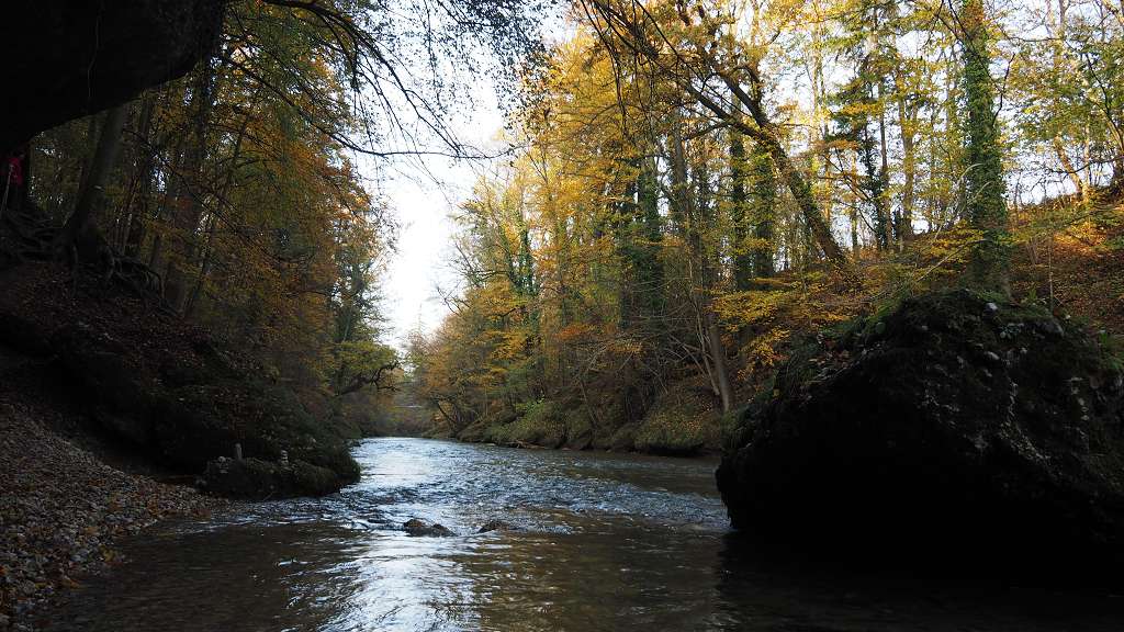 Foto: Datzi / Wandertour / Familienwanderung durch die wildromantische Erlaufschlucht in Purgstall / 14.11.2015 10:48:39
