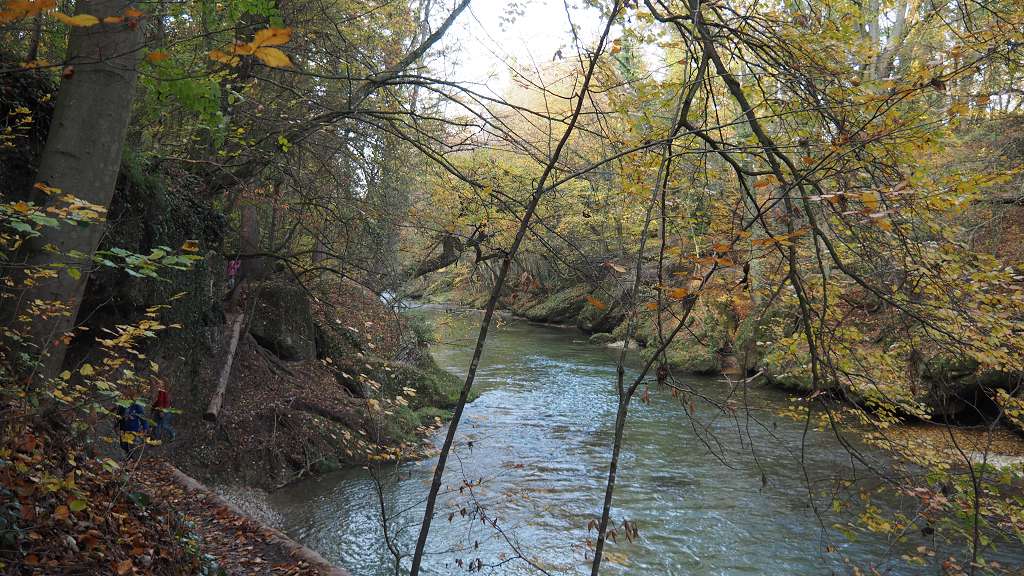 Foto: Datzi / Wandertour / Familienwanderung durch die wildromantische Erlaufschlucht in Purgstall / 14.11.2015 10:48:50